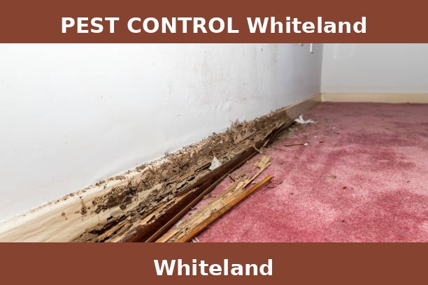 PEST CONTROL Whiteland